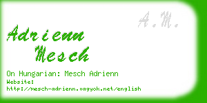 adrienn mesch business card